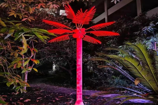 景区树木亮化工程